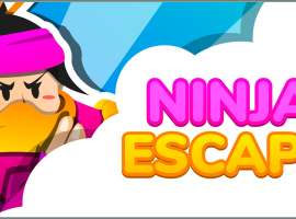 Ninja Escape Ninja Escape