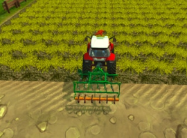 Farming Town