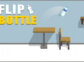 Flip Bottle Flip Bottle