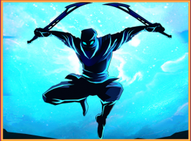 Shadow Ninja Revenge Shadow Ninja Revenge