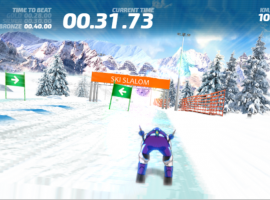 Ski Slalom