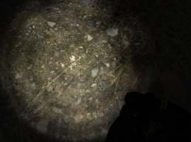 Slendrina Must Die: The Forest