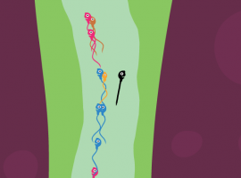 The Great Sperm Race