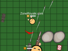 Zone Royale